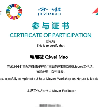 Movers workshop certificate